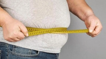 T&uuml;rkiye'de 15 yaş ve &uuml;zeri n&uuml;fusun y&uuml;zde 20,2'si obez