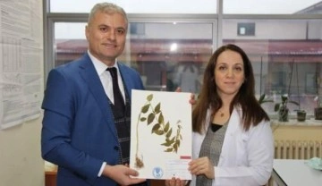 T&uuml;rkiye'de yeni bir bitki t&uuml;r&uuml; keşfedildi: Anadolu Zilasuru