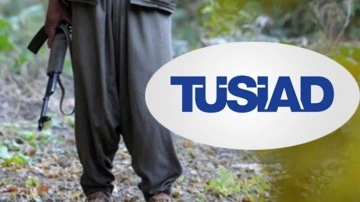 TÜSİAD'da 'PKK' suskunluğu: Kayyum atanınca itiraz, silah bırakılınca suspus