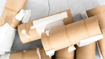 Tuvalet kağıdı ruloları sandığınızdan çok daha fazlası! Sakın çöpe atmayın