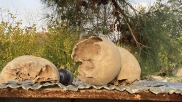 Tüyler ürperten olay! Gerçek ortaya çıktı