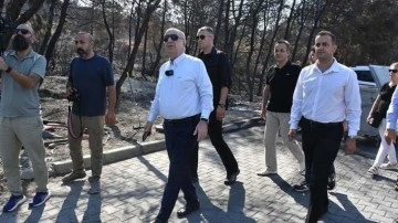 Ümit Özdağ: İzmir’deki yangınlar bal üretimini etkileyecek