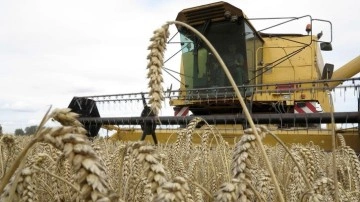 Üreticilere kasımda 376,8 milyon lira destekleme ödemesi yapıldı