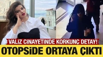 Valiz cinayetinde korkunç detaylar: Ayşe'yi döverek öldürmüş!