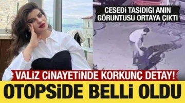 Valiz cinayetinde korkunç detaylar: Cesedin taşındığı an ortaya çıktı
