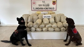 Van'da 106 kilo uyuşturucu ele geçirildi; 1 gözaltı