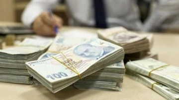 Vatandaşlık maaşı geliyor! Tarih resmen duyuruldu! Önce birkaç il sonra tüm Türkiye'de!