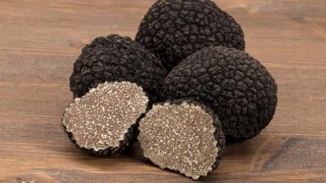 Vücudunuzu kanserden ve enfeksiyonlardan koruyor! İltihabı önlüyor