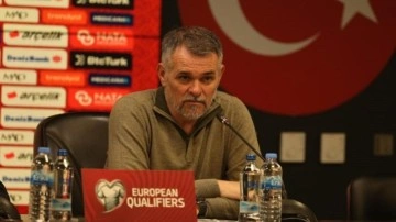 Willy Sagnol: Türkiye güçlü bir takımdır