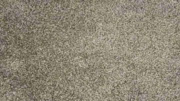 Yalnızca d&acirc;hilerin &ccedil;&ouml;zd&uuml;ğ&uuml; zeka testi: Gizli &ouml;r&uuml;mceği 5 saniyede bul!