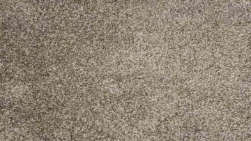 Yalnızca d&acirc;hilerin &ccedil;&ouml;zd&uuml;ğ&uuml; zeka testi: Gizli &ouml;r&uuml;mceği 5 saniyede bul!