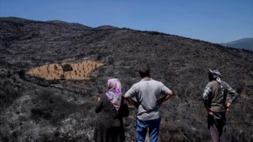 Yangında etrafındaki araziler kül oldu, 4 dönümlük bahçesi alevlerden etkilenmedi!