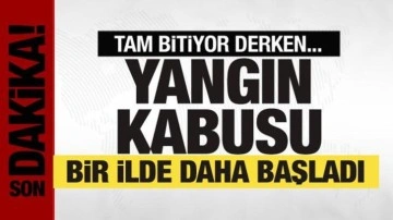 Yangınlarla mücadele sürüyor! Alevler bir ili daha sardı