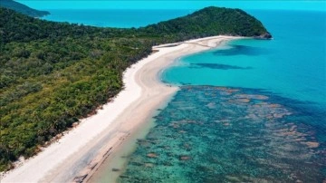 Yaşlı kadın ıssız adada unutuldu! Film gibi olay trajik sonla bitti