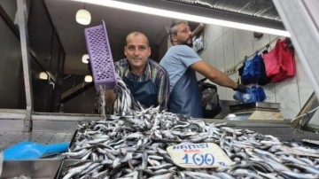 Yaz sıcakları palamudu vurdu, yerini hamsi aldı