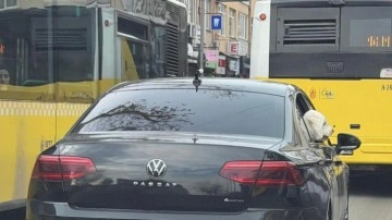 ‘Yeni başkan, eski başkanın makam aracını köpeğine tahsis etti’ iddiası