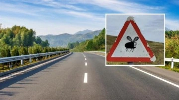 Yeni trafik levhasını gören bir daha bakıyor!