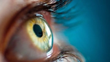 Yer &ccedil;ekimsiz ortamda yapılan retina ile bilim d&uuml;nyası hayrete d&uuml;şt&uuml;