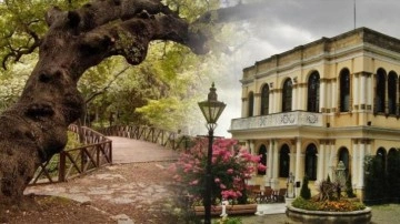 Yıldız Parkına otob&uuml;sle nasıl gidilir? Yıldız Parkı giriş &uuml;creti...