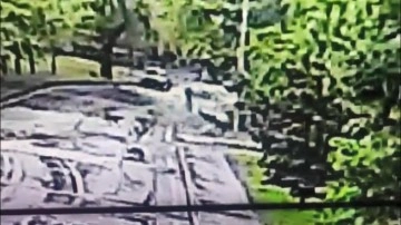 YTÜ'den üniversiteli Gözde'ye saldıran köpeklerle ilgili açıklama