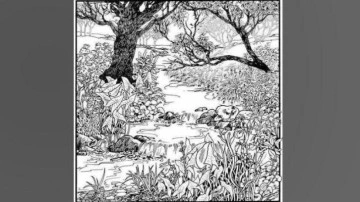 Y&uuml;ksek IQ'lu insanların &ccedil;&ouml;zebildiği zeka testi: Ormanın i&ccedil;indeki kız y&uuml;z&uuml;n&uuml; 11 saniyede bul!