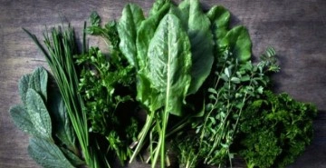 Y&uuml;z &ccedil;eviriyoruz ama bu mucize bitki, yeşilliklerin şahı &ccedil;ıktı! Besin değeri &ccedil;ok y&uuml;ksek