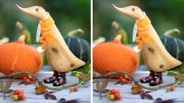 Zeka testi: 24 saniyede 5 farkı g&ouml;renler imkansızı başarıyor!