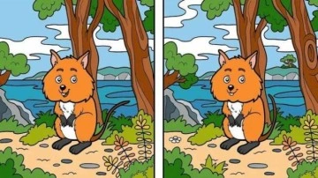 Zeka testi: Dikkatinizi &ouml;l&ccedil;meye var mısınız? 15 saniyede 10 farkı bulun!