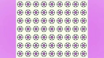 Zeka testi: Resimdeki farklı topu 11 saniyede yalnızca IQ'su y&uuml;ksek olanlar bulabiliyor!